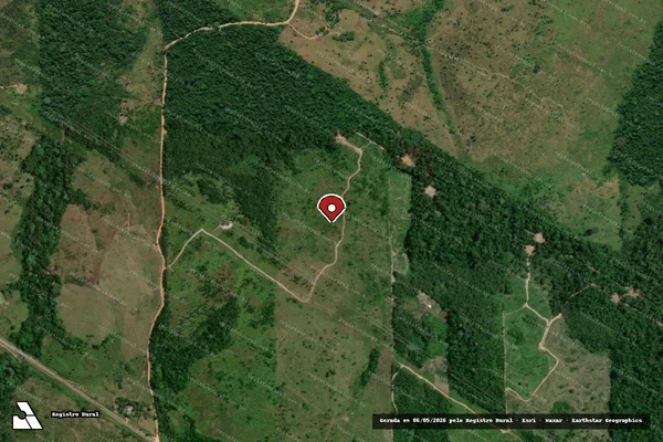 Imagem de satélite de Infração da Flora em Anapu - PA (marcador da localização)