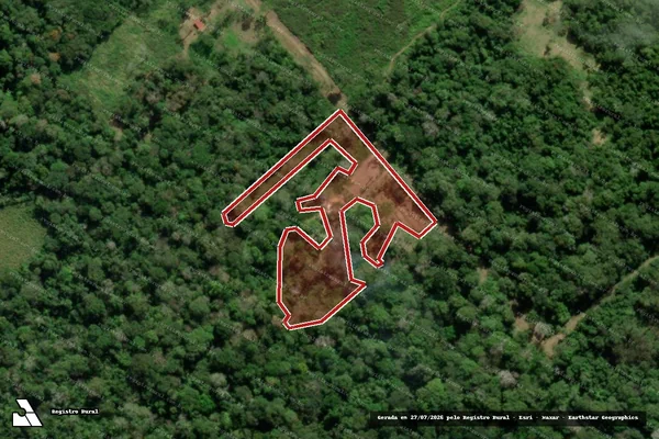 Imagem de satélite de Infração da Flora em Linhares - ES
