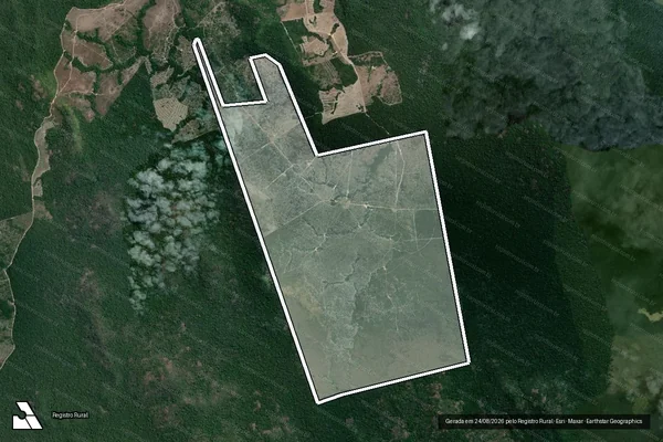 Imagem de satélite de Infração da Flora em Novo Progresso - PA