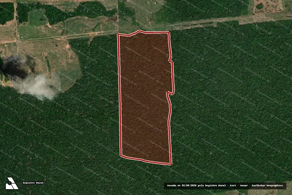Imagem de satélite de Infração da Flora em Porto Velho - RO