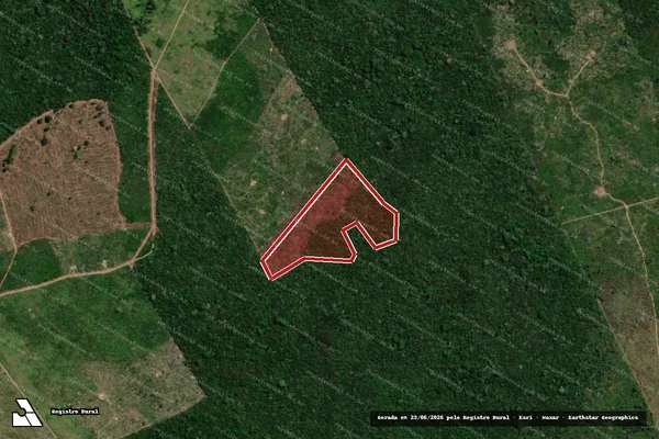 Imagem de satélite — Embargo IBAMA — Infração da Flora — Marajá do Sena/MA
