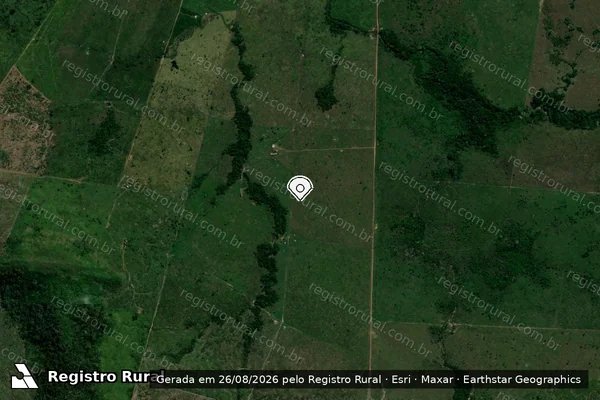 Imagem de satélite de Infração Ambiental em Porto Velho - RO (marcador da localização)