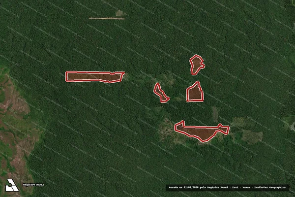 Imagem de satélite de Infração Ambiental em Novo Aripuanã - AM