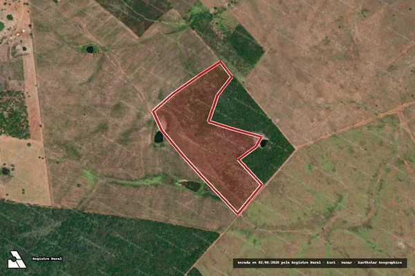 Imagem de satélite — Embargo IBAMA — Infração da Flora — Itabi/SE