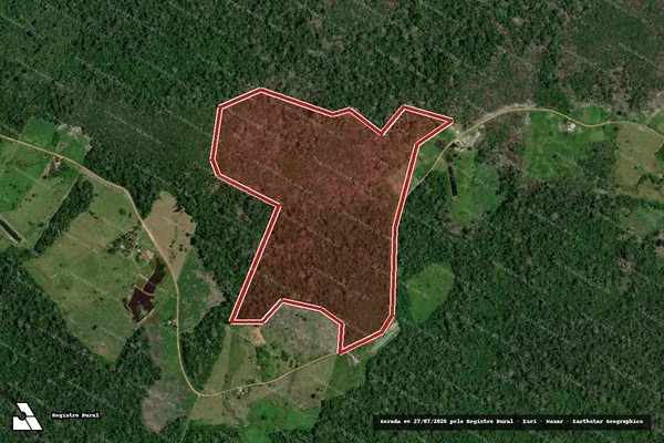 Imagem de satélite de Infração Ambiental em Rorainópolis - RR
