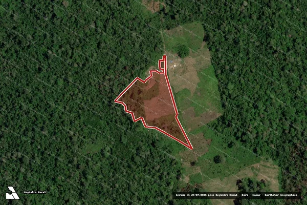 Imagem de satélite de Infração Ambiental em Senador José Porfírio - PA