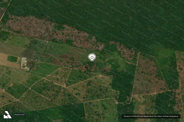 Imagem de satélite de Infração Ambiental em Porto Velho - RO (marcador da localização)
