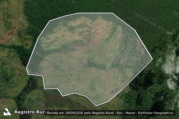 Imagem de satélite — Embargo IBAMA — Infração Ambiental - Colniza/MT