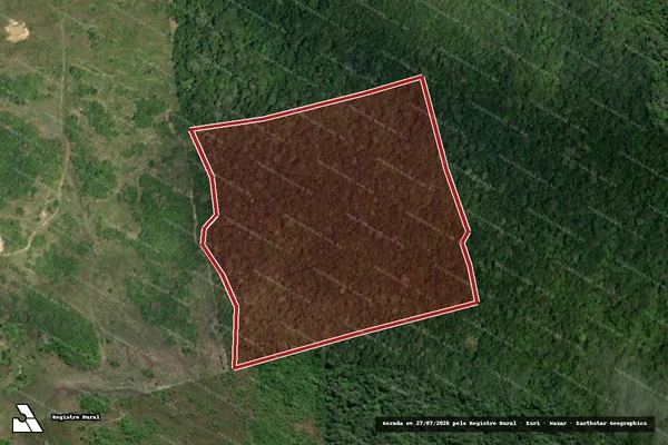 Imagem de satélite de Infração da Flora em Caracaraí - RR