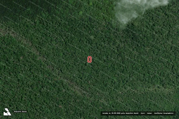 Imagem de satélite de Infração Ambiental em Iracema - RR