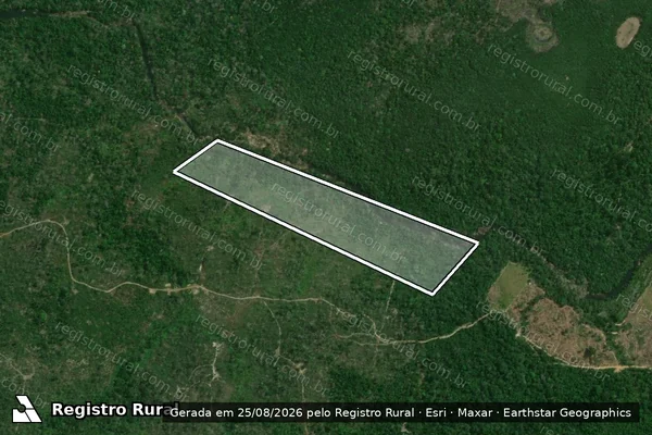 Imagem de satélite de Infração Ambiental em Caracaraí - RR