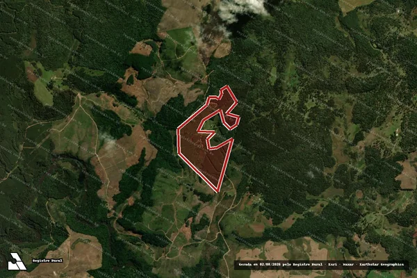 Imagem de satélite de Infração da Flora em Palmas - PR
