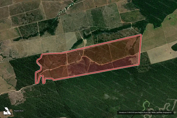 Imagem de satélite de Infração da Flora em Altamira - PA