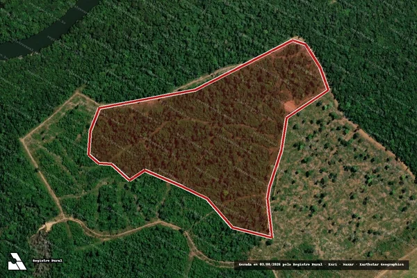 Imagem de satélite de Infração da Flora em Marcelândia - MT