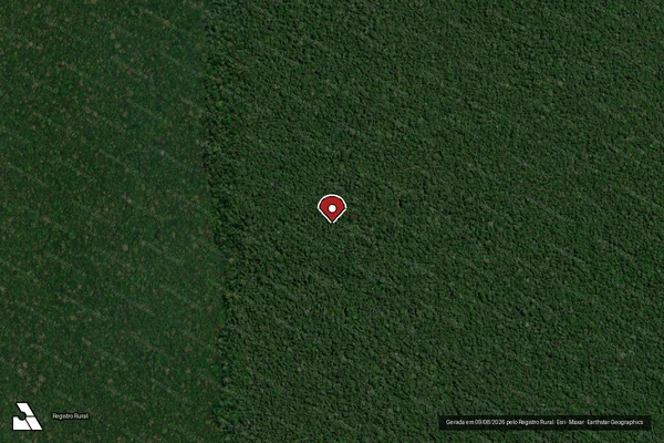 Imagem de satélite de Desmatamento em Porto Velho - RO (marcador da localização)