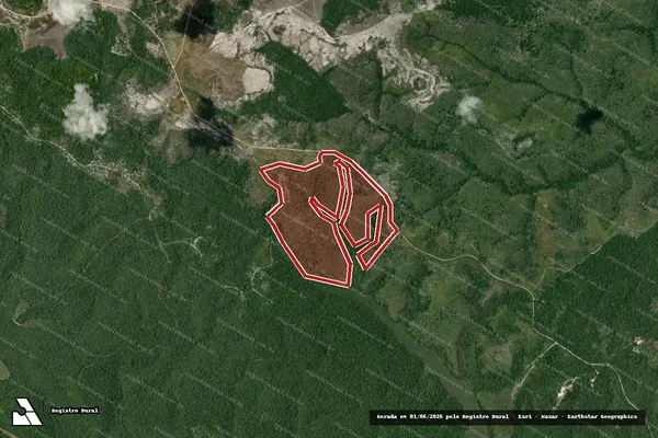 Imagem de satélite de Infração Ambiental em Santa Cruz Cabrália - BA
