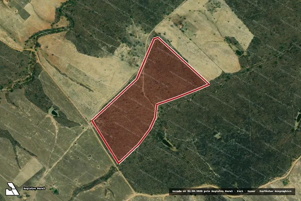 Imagem de satélite de Infração da Flora em Monte Alegre de Sergipe - SE