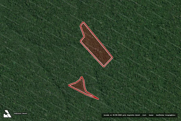 Imagem de satélite de Infração Ambiental em Portel - PA