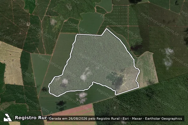 Imagem de satélite de Infração da Flora em Dom Eliseu - PA