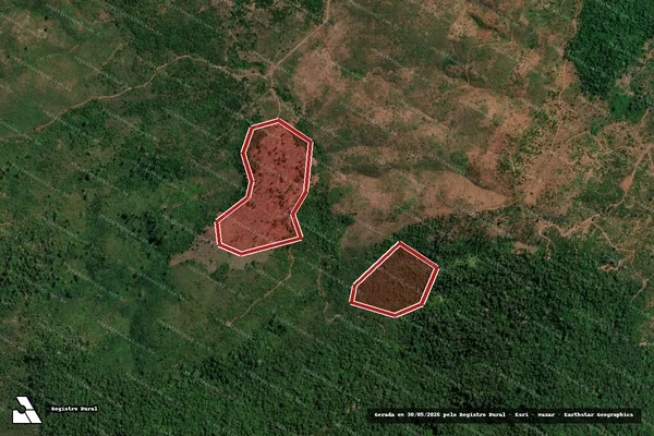 Imagem de satélite de Infração da Flora em São Félix do Xingu - PA