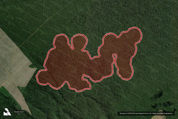 Imagem de satélite — Embargo IBAMA — Infração Ambiental - Bom Jardim/MA