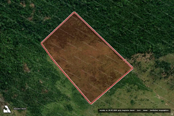 Imagem de satélite de Infração da Flora em Porto Velho - RO