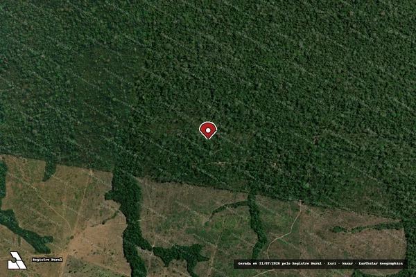 Imagem de satélite de Infração da Flora em Cotriguaçu - MT (marcador da localização)