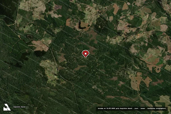 Imagem de satélite de Infração da Flora em Bituruna - PR (marcador da localização)