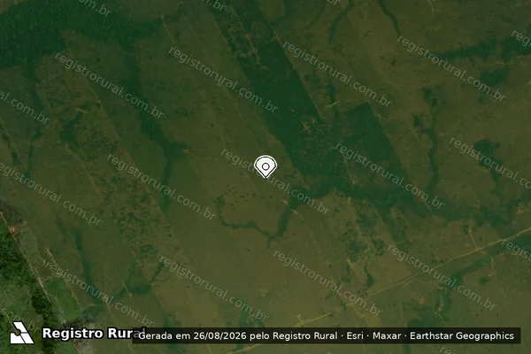 Imagem de satélite de Infração Ambiental em Porto Velho - RO (marcador da localização)