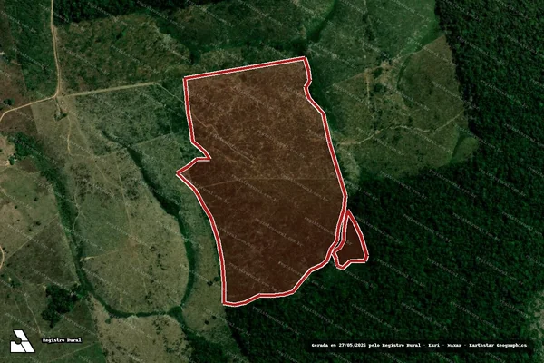Imagem de satélite de Infração da Flora em Portel - PA