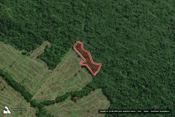 Imagem de satélite de Infração da Flora em Jacareacanga - PA