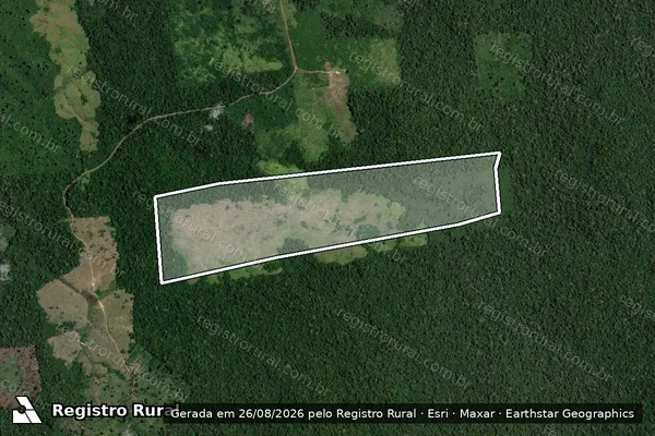 Imagem de satélite de Infração Ambiental em Rurópolis - PA