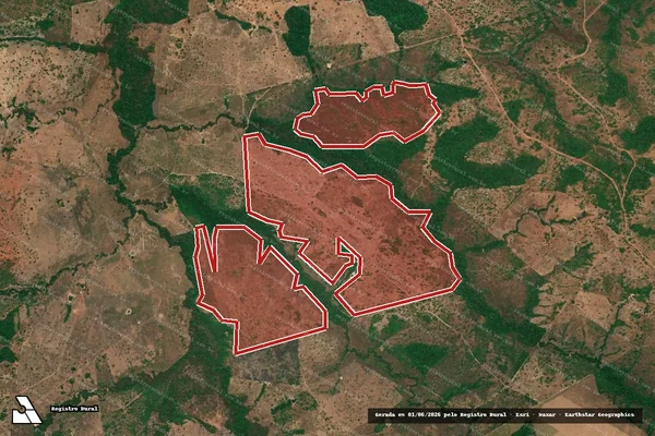 Imagem de satélite — Embargo IBAMA — Infração da Flora — Goianorte/TO