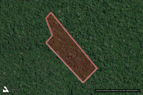 Imagem de satélite de Infração Ambiental em Portel - PA