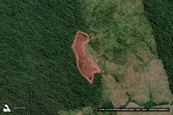 Imagem de satélite de Infração da Flora em Novo Progresso - PA