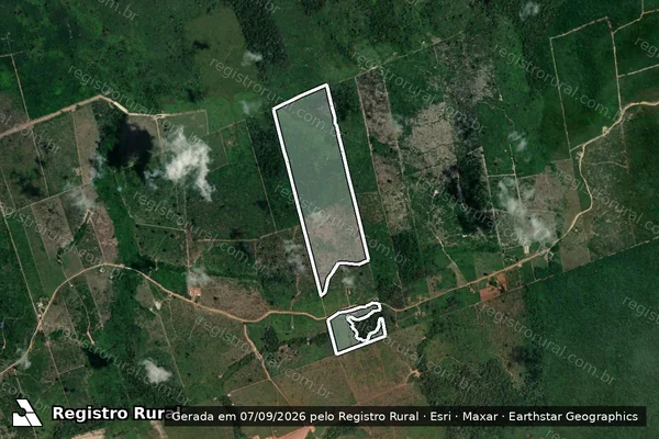 Imagem de satélite de Infração da Flora em Novo Progresso - PA
