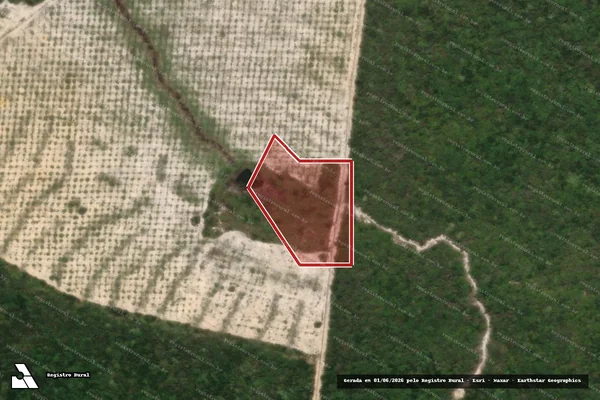 Imagem de satélite de Infração da Flora em Beberibe - CE