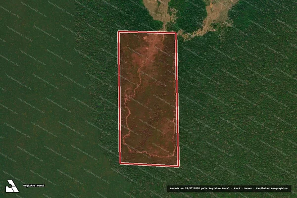 Imagem de satélite de Infração Ambiental em Boca do Acre - AM