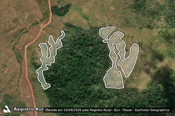 Imagem de satélite de Infração Ambiental em São Félix do Xingu - PA
