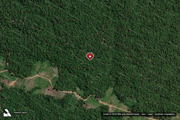 Imagem de satélite de Infração da Flora em Anapu - PA (marcador da localização)