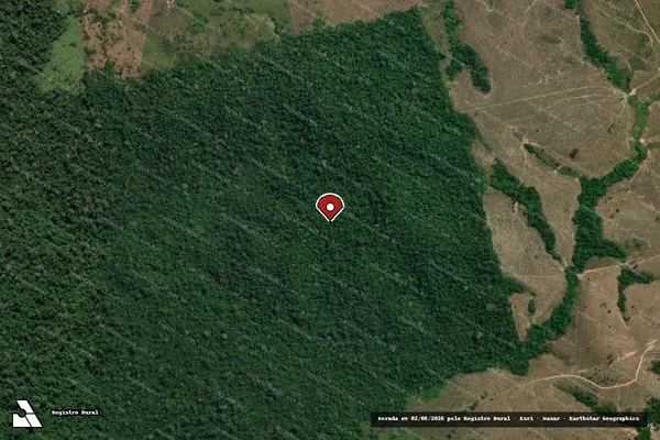 Imagem de satélite de Infração Ambiental em Novo Progresso - PA (marcador da localização)