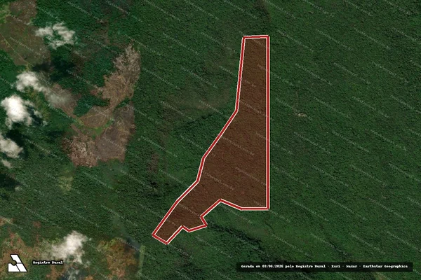 Imagem de satélite de Infração da Flora em São Félix do Xingu - PA
