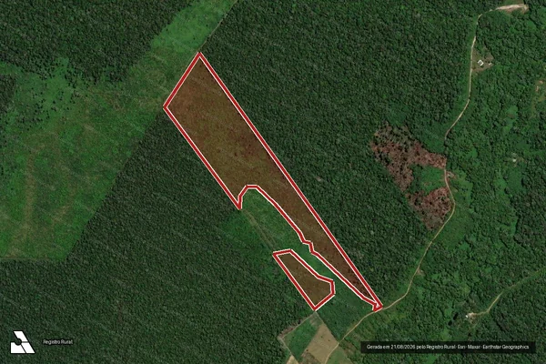 Imagem de satélite de Infração da Flora em Porto Velho - RO