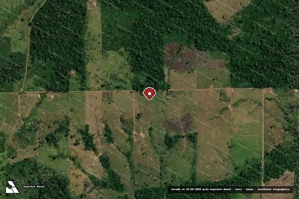 Imagem de satélite de Desmatamento em Boca do Acre - AM (marcador da localização)