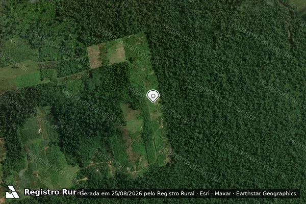 Imagem de satélite de Infração da Flora em Uruará - PA (marcador da localização)