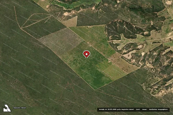 Imagem de satélite de Infração da Flora em Novo Triunfo - BA
