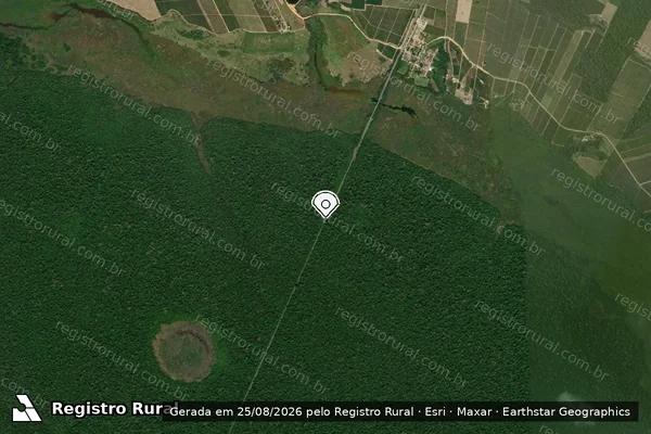 Imagem de satélite de Infração Ambiental em Sooretama - ES (marcador da localização)