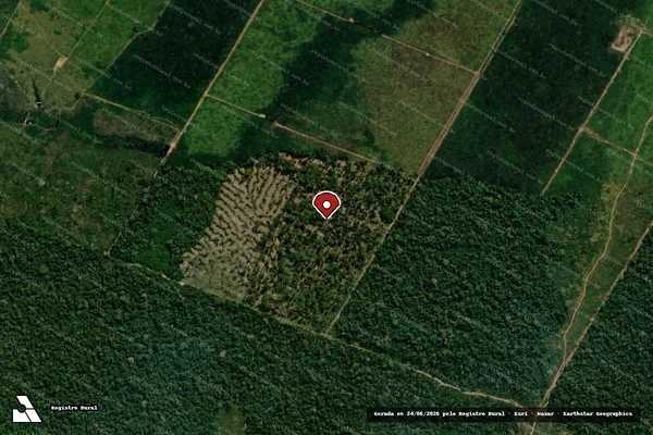 Imagem de satélite de Infração Ambiental em Buritis - RO (marcador da localização)