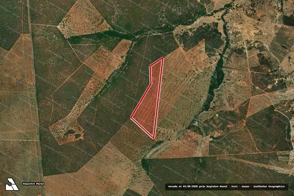 Imagem de satélite de Infração da Flora em Coribe - BA