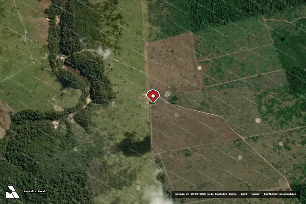 Imagem de satélite de Infração da Flora em Medicilândia - PA (marcador da localização)